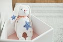 Star Bunny4