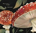Mushroom Rain2
