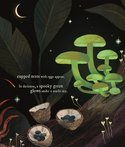 Mushroom Rain4
