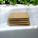 Bamboo Potscaper