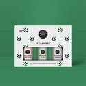 Wellness Oil 1