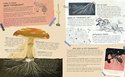 Mushroom Rain7