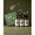 Gift Collection3