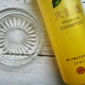 Oshima Tsubaki Camellia Premium Hair Shampoo 300ml 2 2024 08 19T01 3A39 3A04 964Z Jpg
