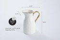Salerno Pitcher3