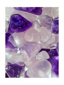 Macro Wellness 1000px 5