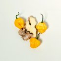 Ginger Hotsauce7